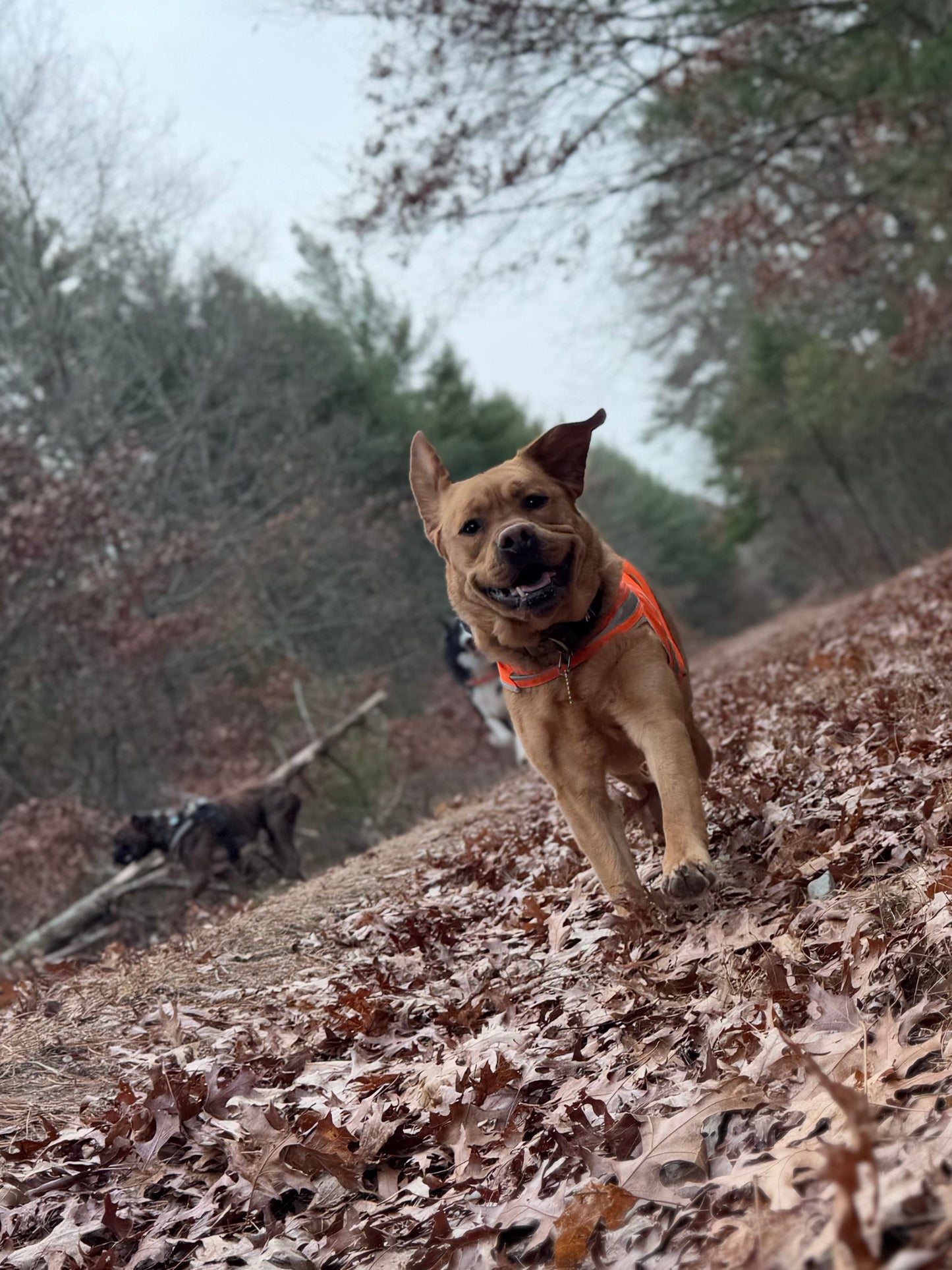 Adventure Hike
