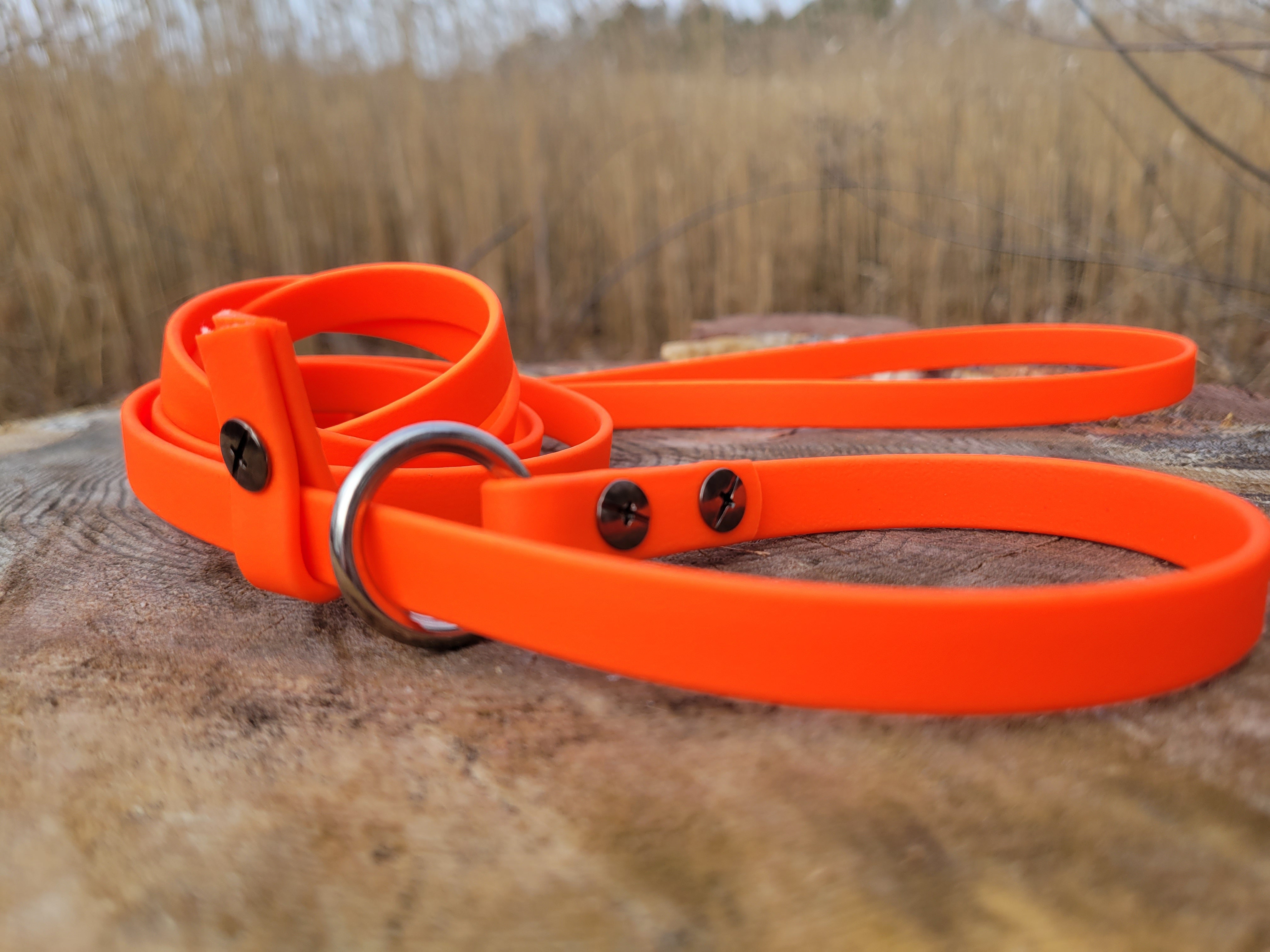 Slip Lead Adventurefitcanine slip-lead-adventurefitcanine