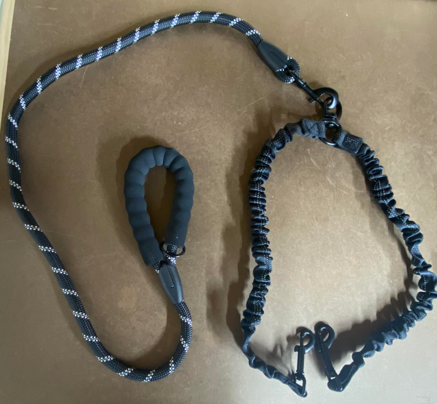 Double Dog leash with shock absorbing bungee