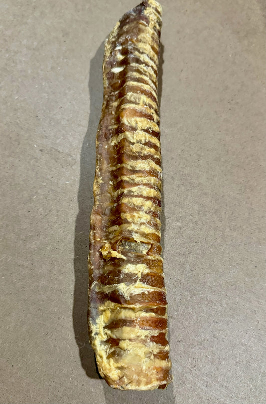 12" Beef Trachea