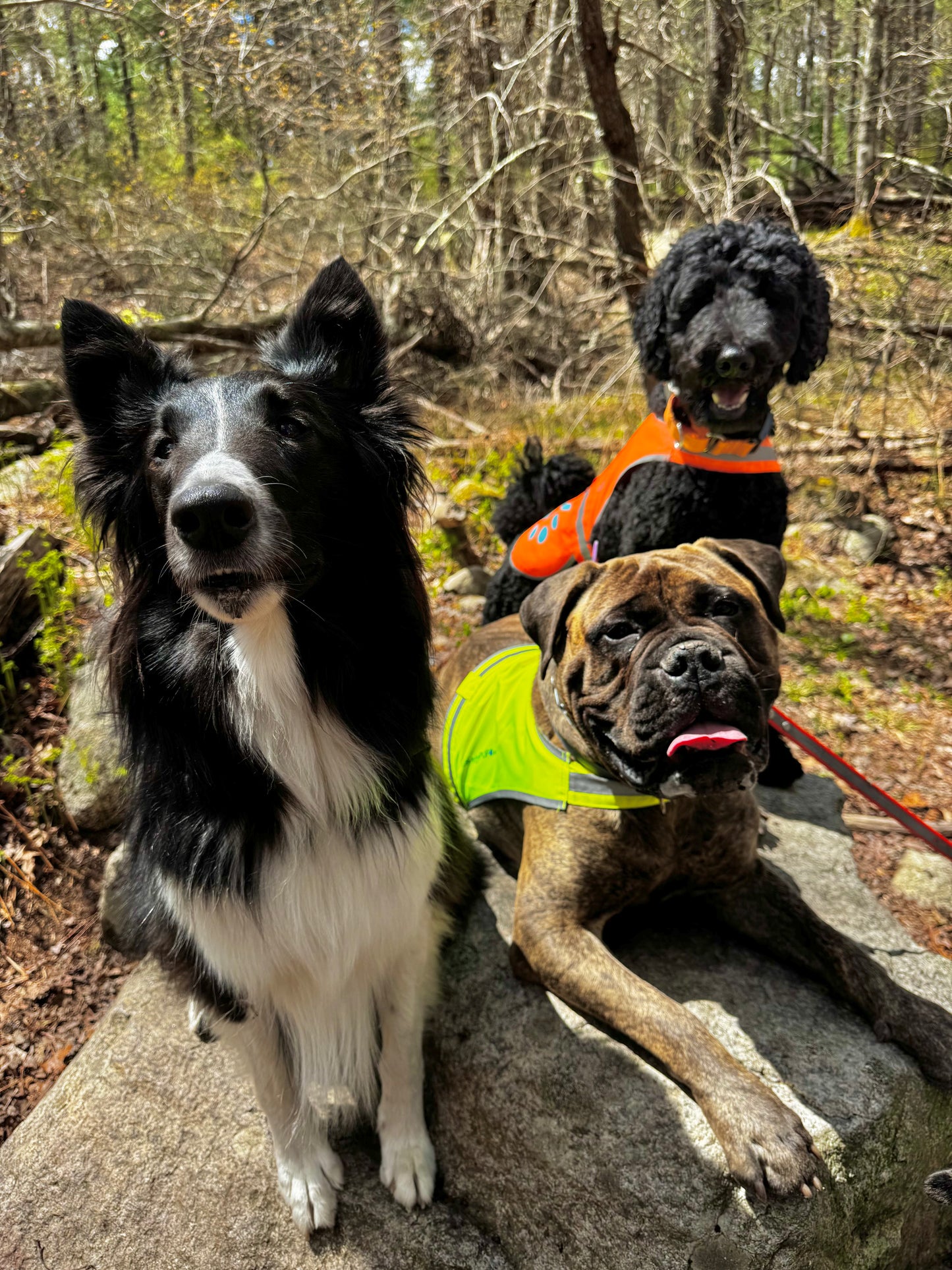 Hike