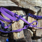 Hands Free leash Orchid and Dark Purple with braid