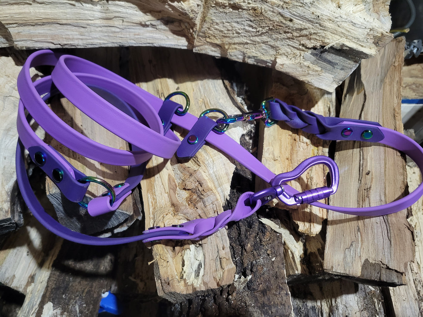 Hands Free leash Orchid and Dark Purple with braid