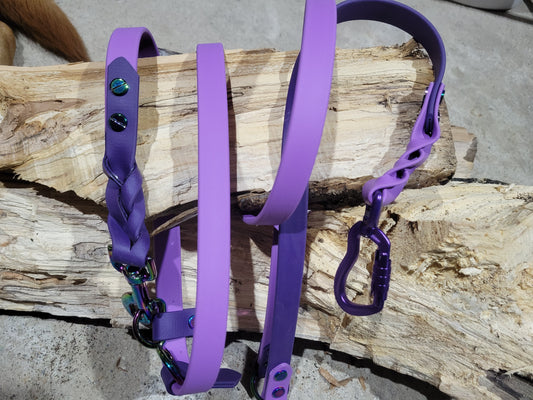 Hands Free leash Orchid and Dark Purple with braid